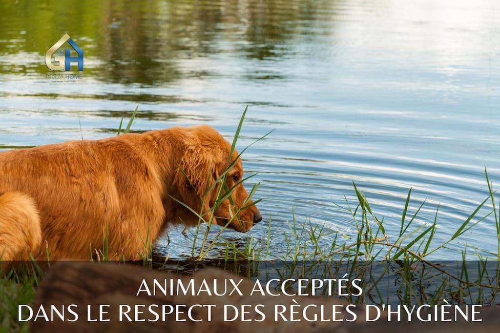 *l'ecrin De L'etang* Depaysement Assure Chalet Bourbourg